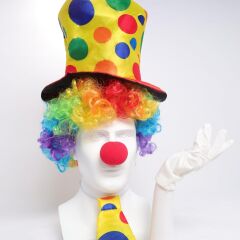 Nessiworld  Renkli Palyaço Kostüm Seti – 5 Parça Aksesuar (Şapka, Peruk, Kravat, Eldiven, Burun)