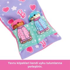 Nessiworld  HXN01 Barbie ve Köpekçikleri Pijama Partisi