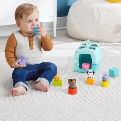 Nessiworld  HTW93 Fisher-Price Hayvan Dostlarımın Çantası