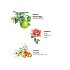 Nessiworld  Eyüp Sabri Tuncer Kolonya Pet Şişe Sprey 150 ml Amber
