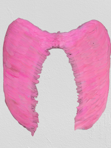 NessiWorld Mega Boy Pembe Renk Tüylü Melek Kanadı 100x85 cm