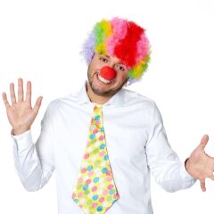 Nessiworld Rengarenk Kıvırcık Afro Bonus Peruk 110 Gr ve Kırmızı Burun Seti
