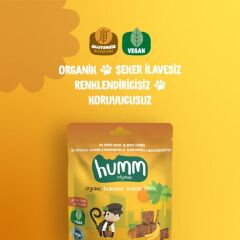 Nessiworld Humm Organik Glutensiz Vegan Muzlu Kek 30 Gr