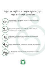 Nessiworld Bistyle 5'li Penye Soket Kutulu Basic Çorap 10131 Pudra