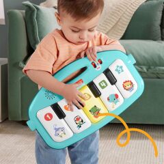 Nessiworld HWY49 Fisher-Price Neşeli Hayvanlar Piyanolu Jimnastik Merkezi