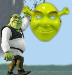 Nessiworld  Yeşil Shrek Maskesi 21x25 cm