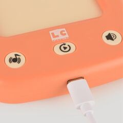 Nessiworld  LC-31050ÖğreticiTürkçe-İngilizceKonuşanFlashKartlar-Let'sBeChild