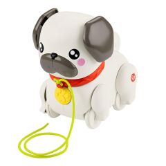 Nessiworld  HTW94 Fisher-Price  Minik Dostumla Yürüyüş