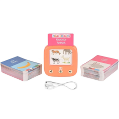 Nessiworld  LC Öğretici Türkçe İngilizce Konuşan Flash Kartlar 31050