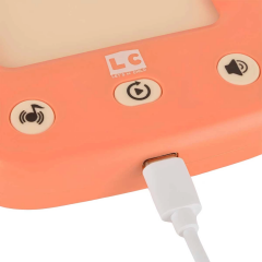 Nessiworld  LC Öğretici Türkçe İngilizce Konuşan Flash Kartlar 31050