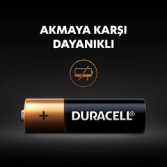 Nessiworld Duracell Basic D Boy Pil 2Li