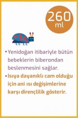 Nessiworld Bebedor Geniş Ağızlı Isıya Dayanıklı Cam Biberon 260ml 51301